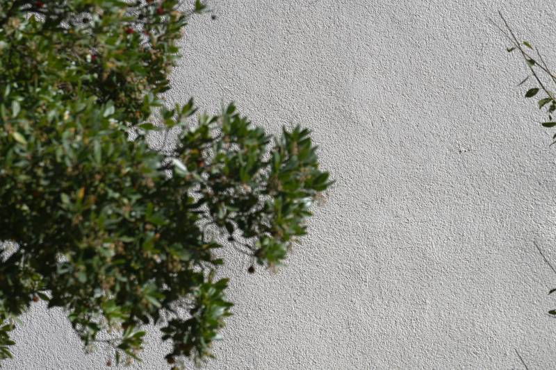Rénovation des façades dans le 13